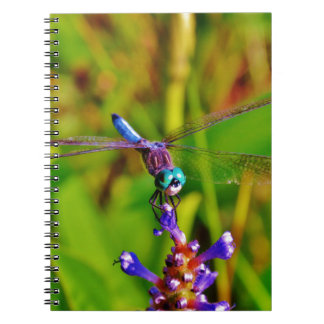Carnet Dragonfly