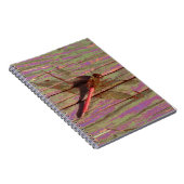 Carnet Dragonfly (Côté Droit)