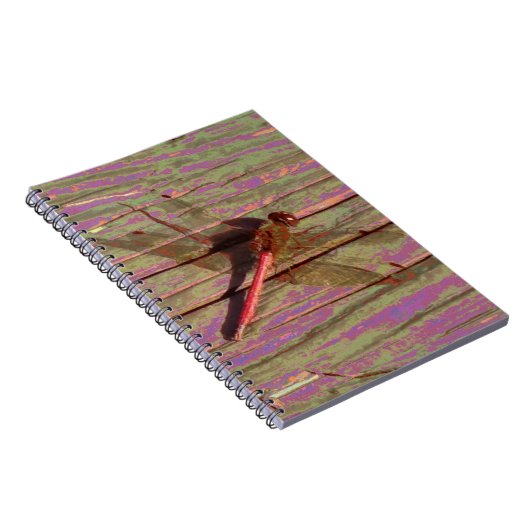 Carnet Dragonfly (Côté Droit)