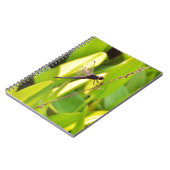 Carnet Dragonfly Blue et noir sur l'herbe. (Côté gauche)