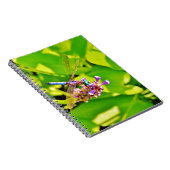 Carnet Dragonfly de couleur arc-en-ciel sur une fleur ros (Côté Droit)
