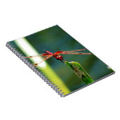 Carnet Dragonfly frontale rouge et noire (Côté Droit)