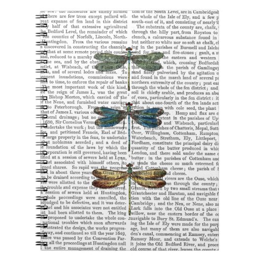 Carnet Dragonlies Imprimer 2 (Devant)