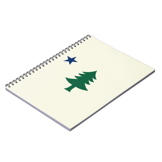 Carnet Drapeau 1901 du Maine (Côté gauche)