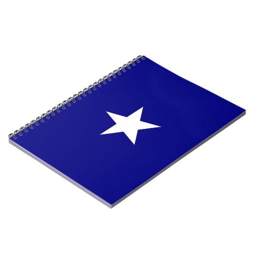 Carnet Drapeau bleu Bonnie (Côté gauche)