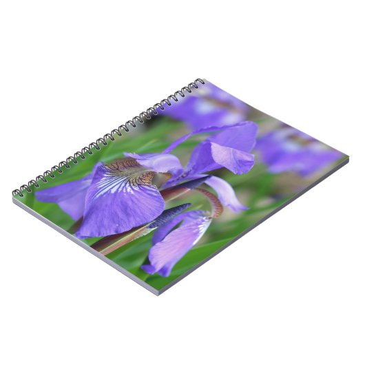 Carnet Drapeau bleu violet Iris Fleur Nature (Côté gauche)
