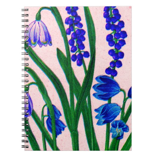 Carnet drêches à neige et scilla (Devant)
