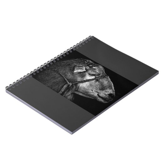 Carnet droit (Côté gauche)