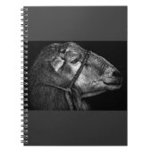 Carnet droit (Devant)