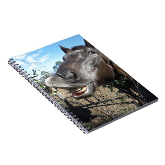 Carnet Drôle Cheval brun visage (Côté Droit)