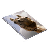 Carnet Drôle Cheval Gris Nez Gros Plan (Côté Droit)