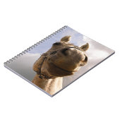 Carnet Drôle Cheval Gris Nez Gros Plan (Côté gauche)