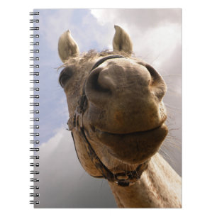 Carnet Drôle Cheval Gris Nez Gros Plan