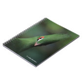 Carnet Drôle Curieux Guinée Turaco Oiseau Vert (Côté gauche)