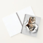 Carnet Drôle Gray Cat Popping à travers l'illusion du pap (Intérieur)