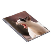 Carnet Drôle Jeu de chat (Côté Droit)