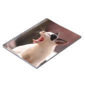 Carnet Drôle Jeu de chat (Côté gauche)