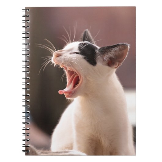 Carnet Drôle Jeu de chat (Devant)