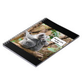 Carnet Drôle Pandas ou Koalas - Qui sont plus mignons ? (Côté gauche)