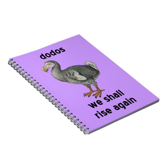 Carnet drontes (Côté Droit)