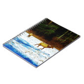 CARNET DSC00131.JPG (Côté gauche)