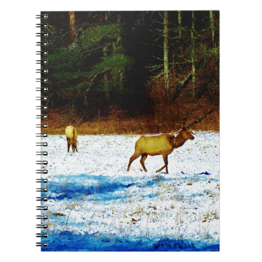 CARNET DSC00131.JPG (Devant)