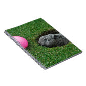 CARNET DSCF0652.JPG (Côté Droit)