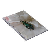 Carnet du dendroctone du fleur (Côté Droit)