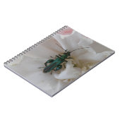 Carnet du dendroctone du fleur (Côté gauche)