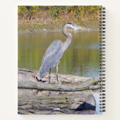 Carnet du Héron bleu (Dos)