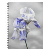 Carnet du Journal d'art gris bleu Iris (Devant)