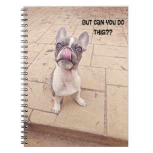 Carnet du journal de chiot Bulldog français mignon