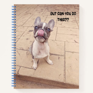 Carnet du journal de chiot Bulldog français mignon