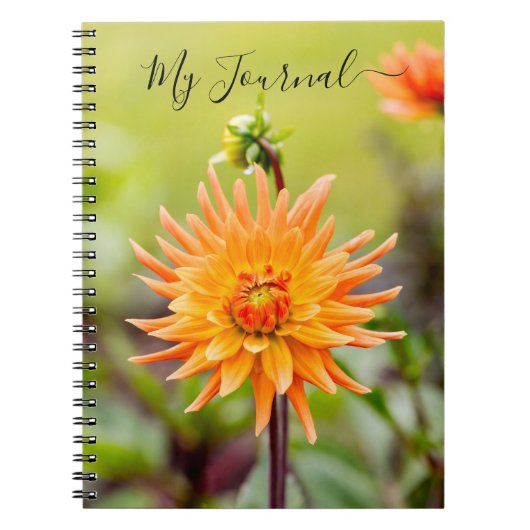 Carnet du journal Orange Dahlia (Devant)