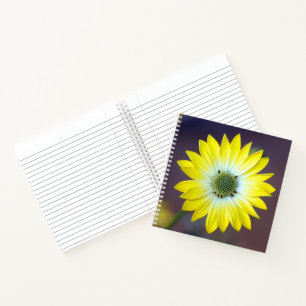 Carnet du journal Osteopermum jaune