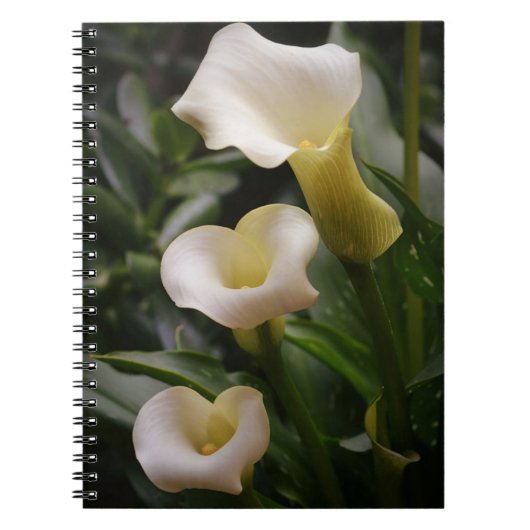 Carnet du journal White Calla Lily Garden (Devant)