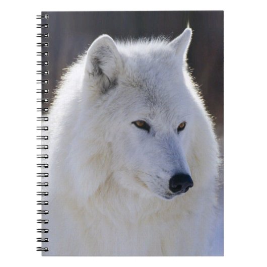 Carnet du loup blanc arctique (Devant)