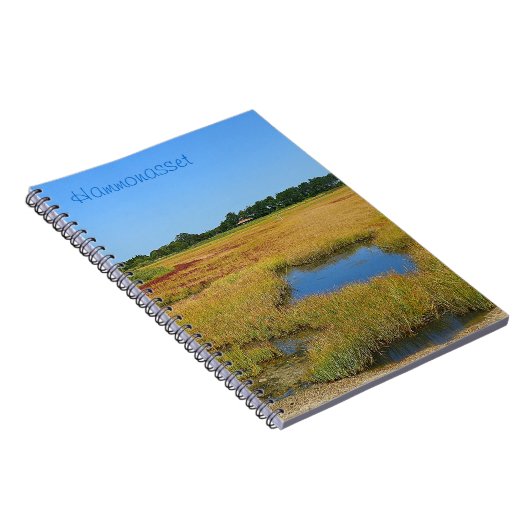 Carnet du marais de Tidepool (Côté Droit)