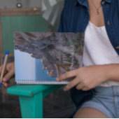 Carnet du sentier de la falaise de Tenerife - Natu