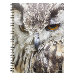Carnet Duc du Bengale