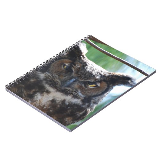 Carnet Duc sage (Côté gauche)