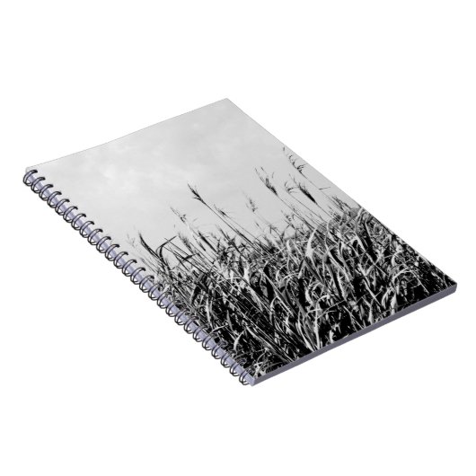 Carnet Dune Triptyque III (Côté Droit)