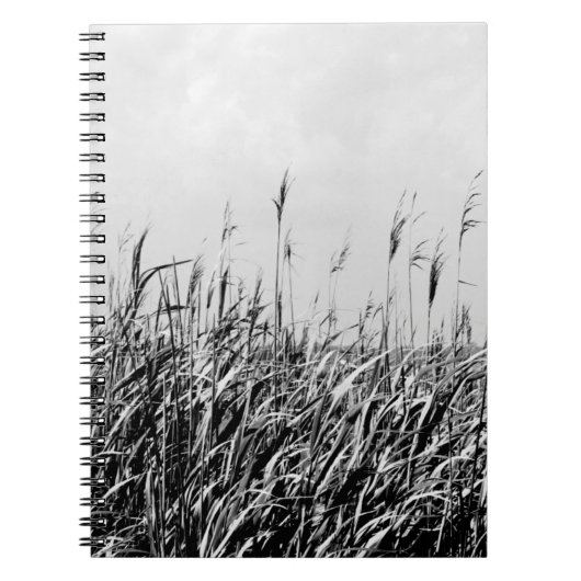 Carnet Dune Triptyque III (Devant)