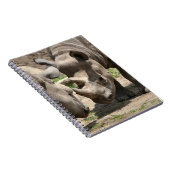 Carnet Duo rhinamique (Côté Droit)