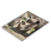 Carnet Duo rhinamique (Côté gauche)