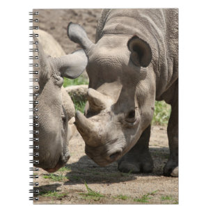 Carnet Duo rhinamique