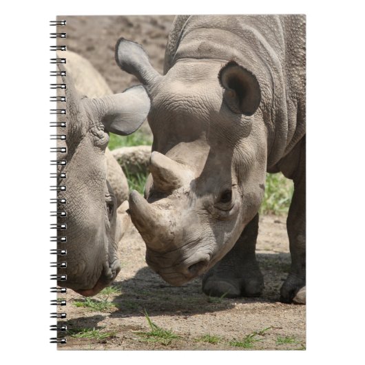 Carnet Duo rhinamique (Devant)