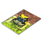 Carnet Dyeing Poison Frog, Dendrobates tinctorius, (Côté gauche)