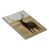 Carnet E13 Grass d'élans taureaux dans les cornes (Côté Droit)