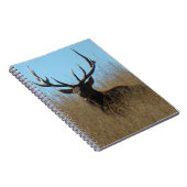 Carnet E26 Bull Elk Laying in the Weeds (Côté Droit)